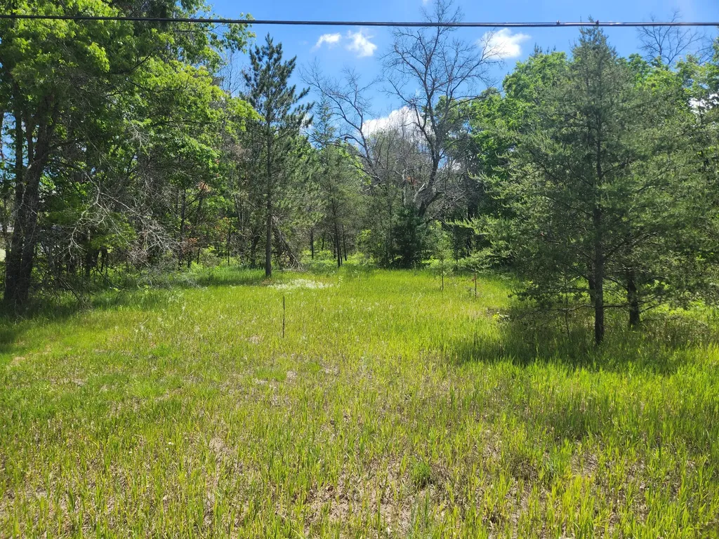 3496 S Michigan 37 Webber Township MI 49304