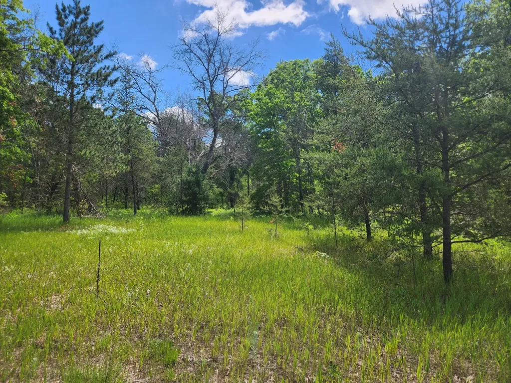 3496 S Michigan 37 Webber Township MI 49304