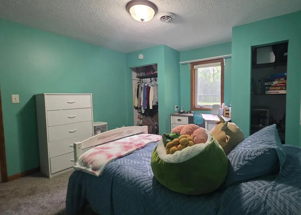 2790 W Wing Road Deerfield Township MI 48858