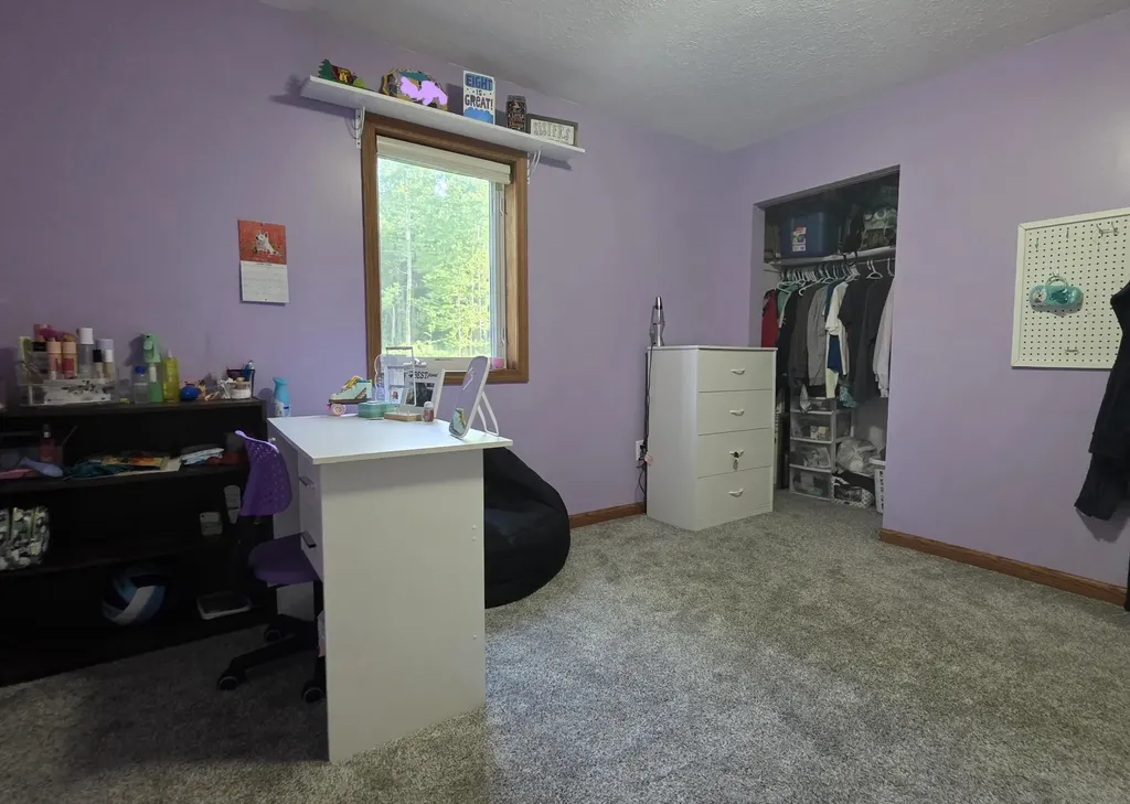2790 W Wing Road Deerfield Township MI 48858