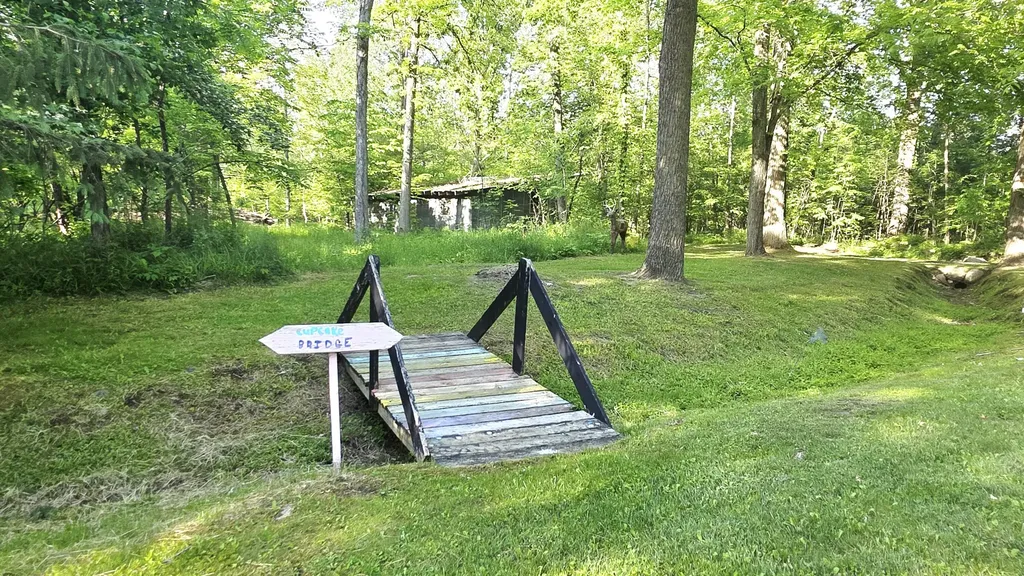 2790 W Wing Road Deerfield Township MI 48858