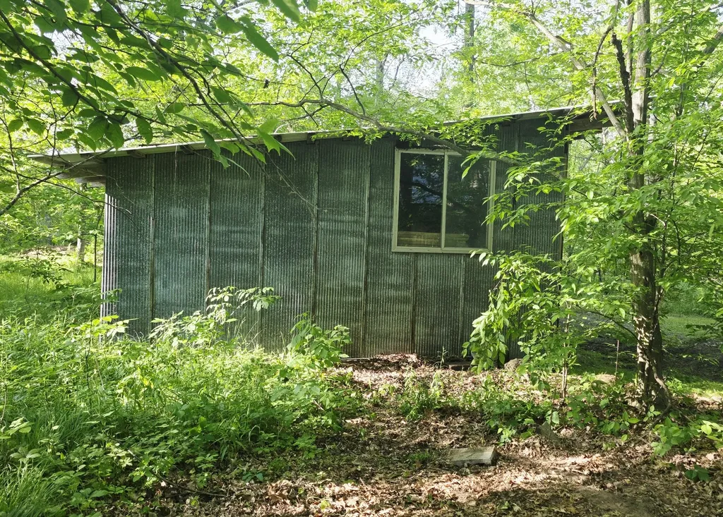 2790 W Wing Road Deerfield Township MI 48858