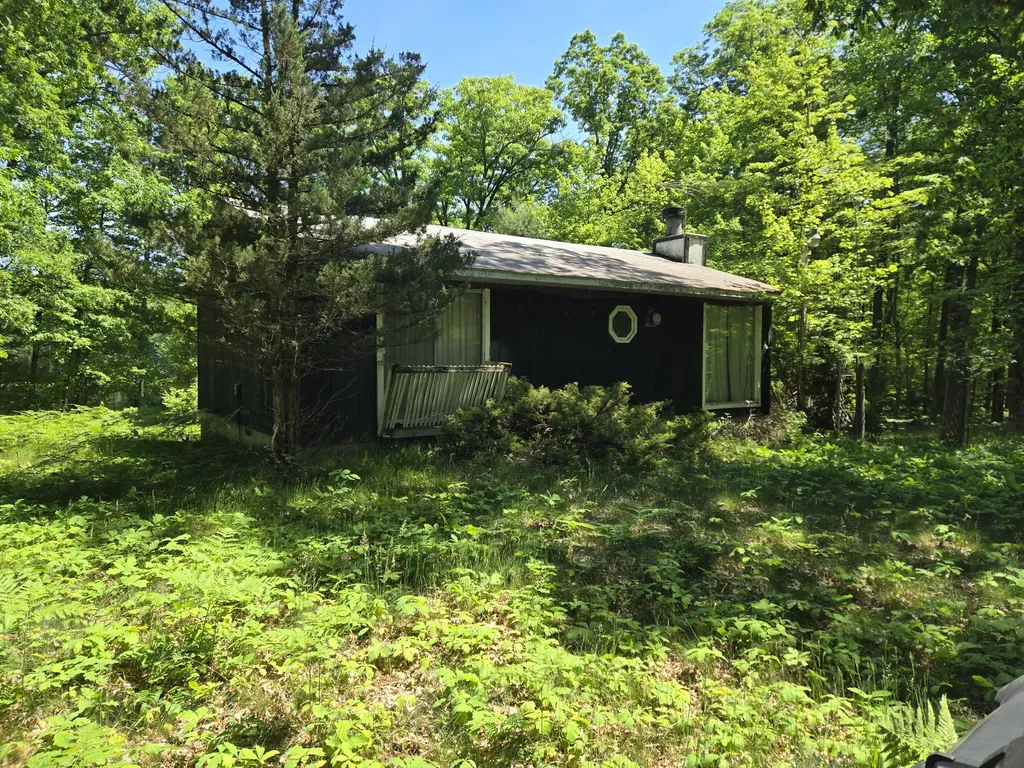 294 W Ingerman Drive Peacock Township MI 49304