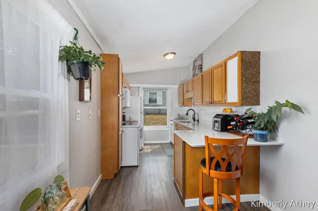 280 Ronald Street NE Cedar Springs City MI 49319