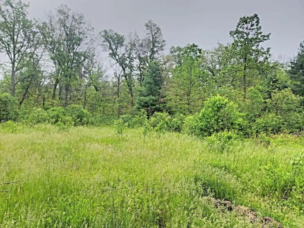 2833 E 40th Street Cherry Valley Township MI 49642