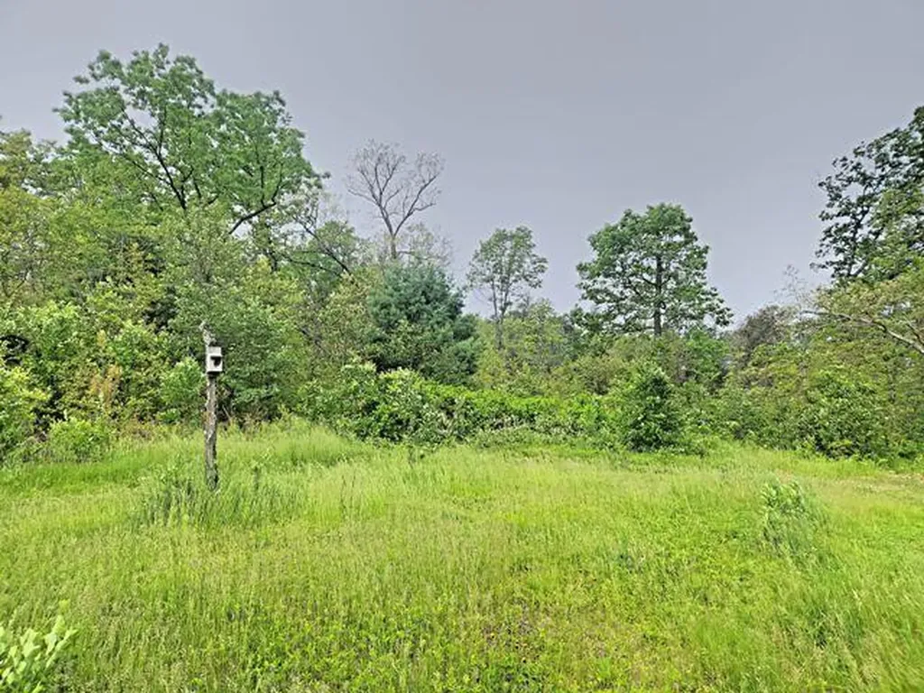 2833 E 40th Street Cherry Valley Township MI 49642
