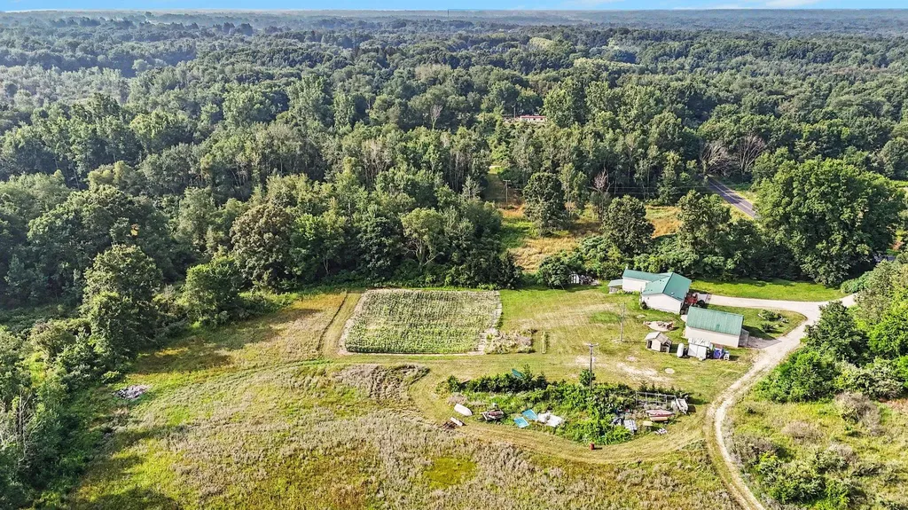 9752 Fuller Road Montcalm Township MI 48838