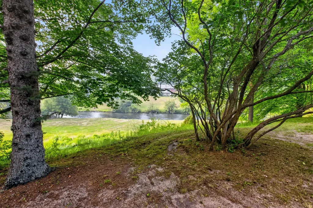 20210 Maple Drive Richmond Township MI 49677