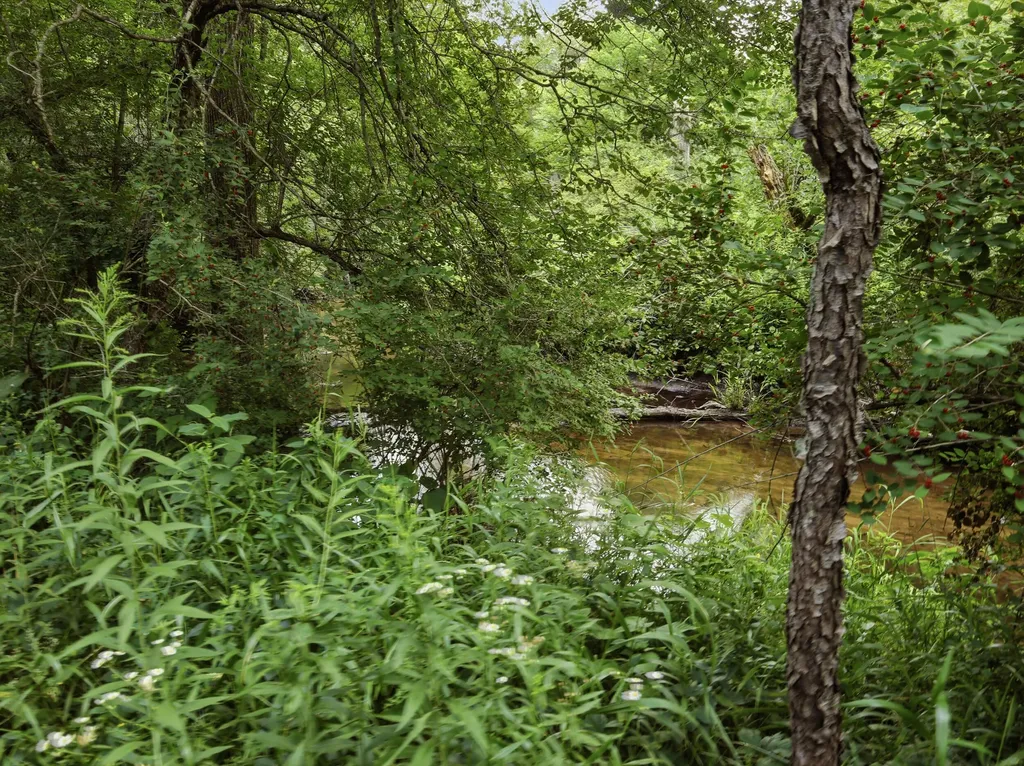 198 Mill Millbrook Township MI 49310