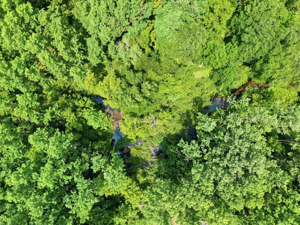 198 Mill Millbrook Township MI 49310