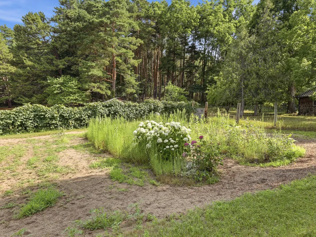 198 Mill Millbrook Township MI 49310
