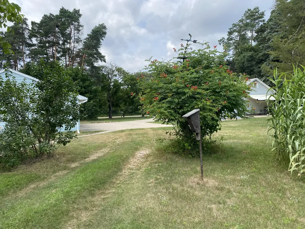 627 S Ensley Street Reynolds Township MI 49329