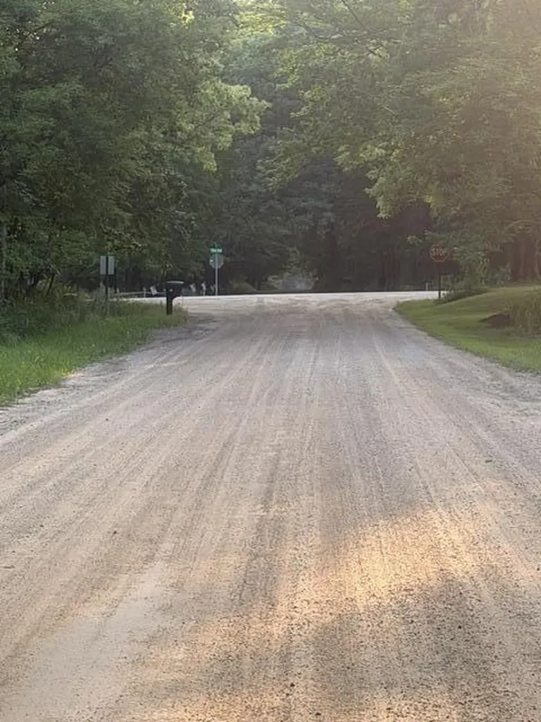 6443 E 4th Street Big Prairie Township MI 49349