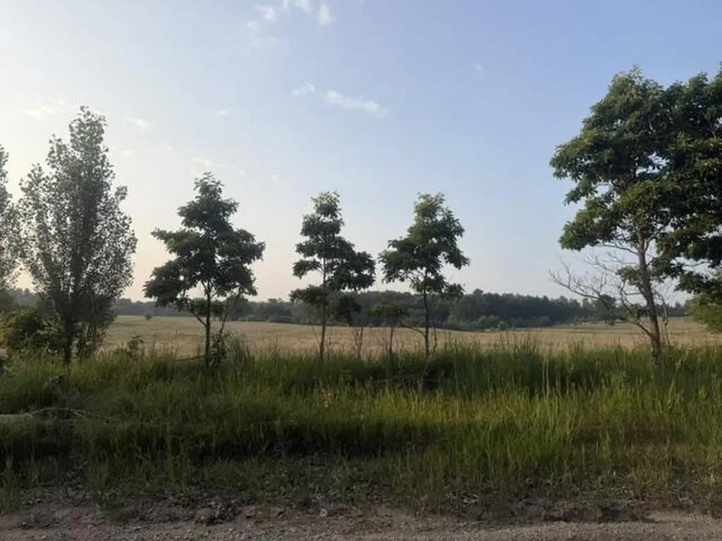 6443 E 4th Street Big Prairie Township MI 49349
