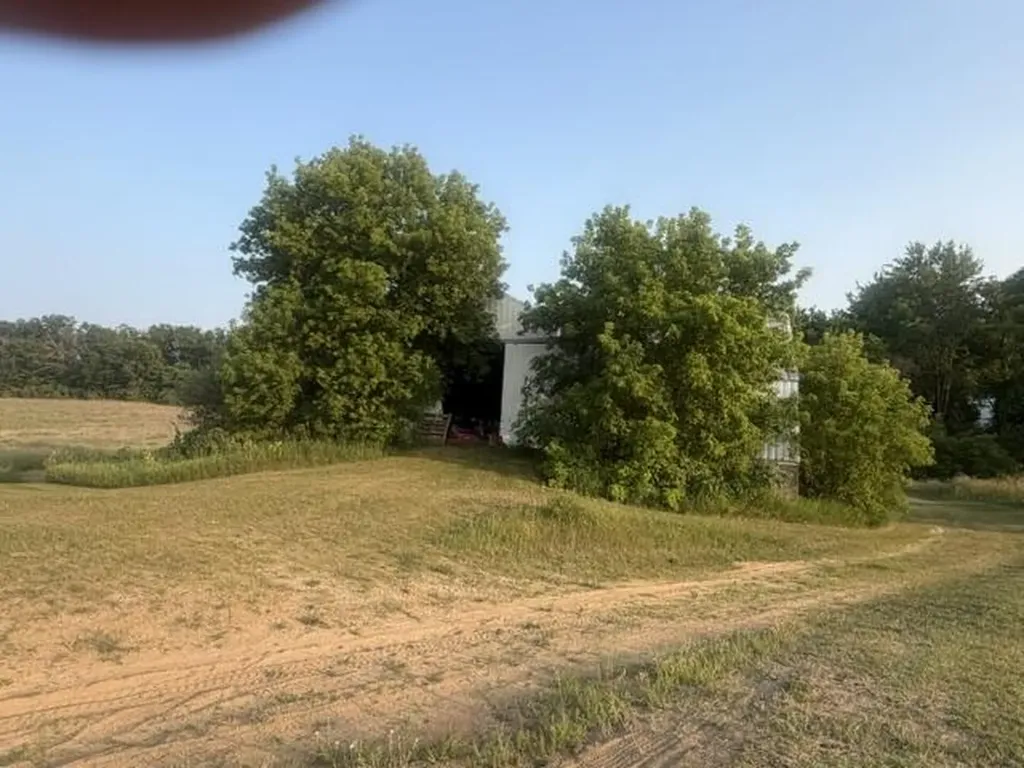 6443 E 4th Street Big Prairie Township MI 49349