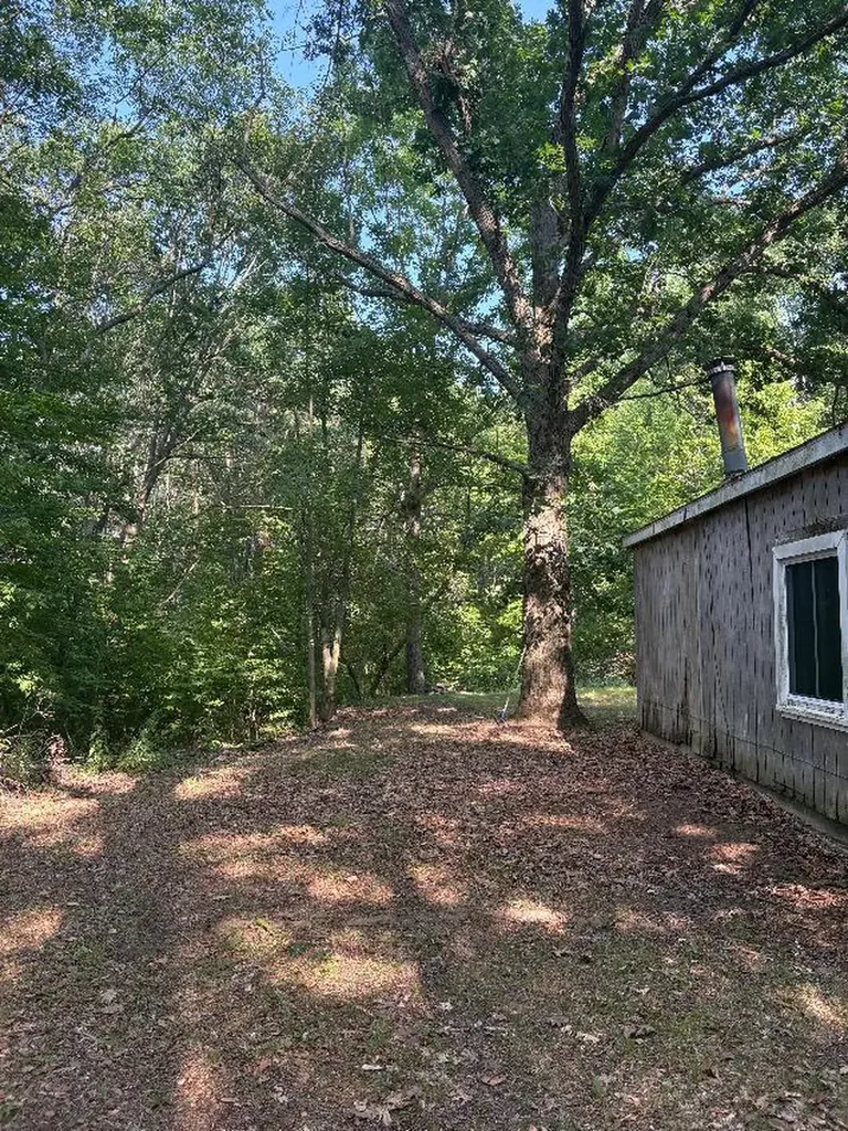 14420 Roosevelt Road Martiny Township MI 49332