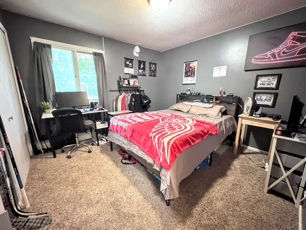 17400 Valley Drive Big Rapids Charter Township MI 49307