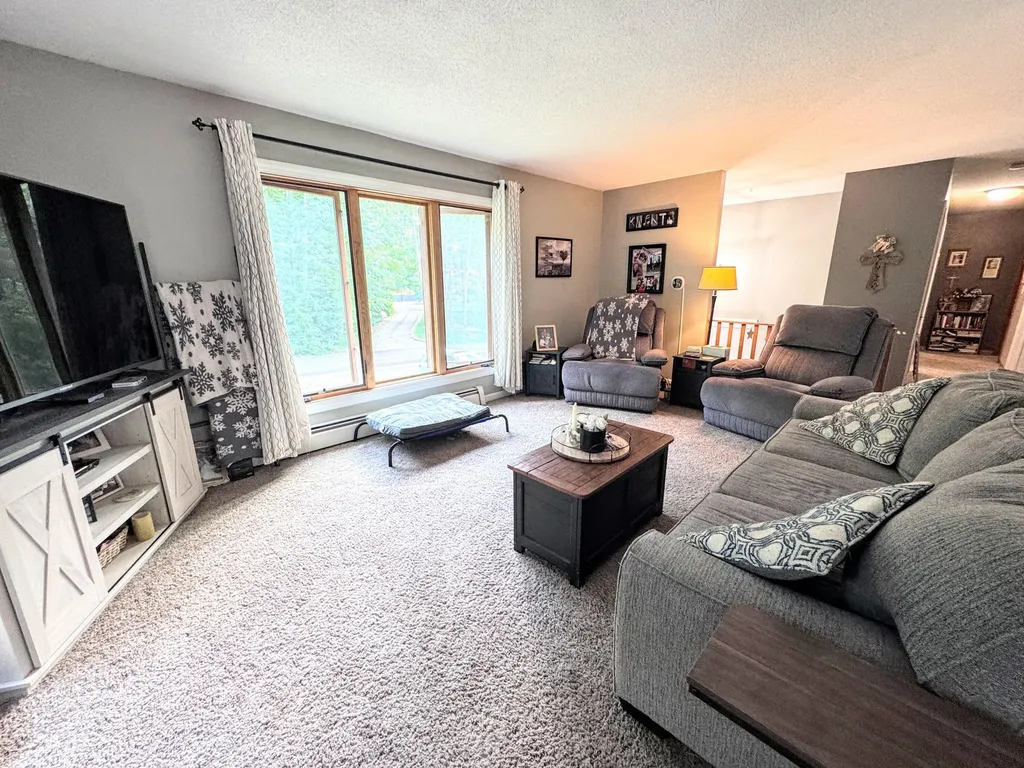 17400 Valley Drive Big Rapids Charter Township MI 49307