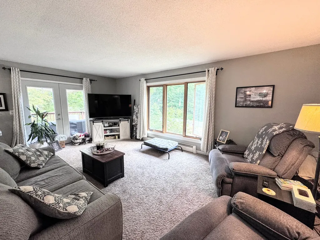 17400 Valley Drive Big Rapids Charter Township MI 49307