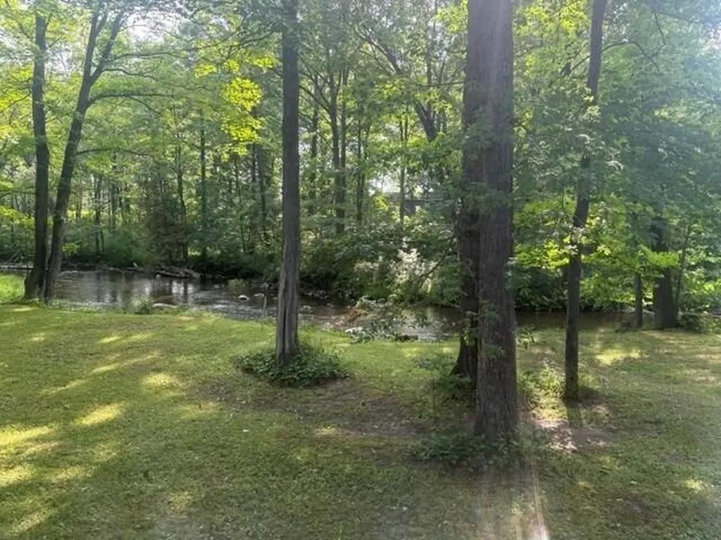 14150 Birch Lane Middle Branch Township MI 49665