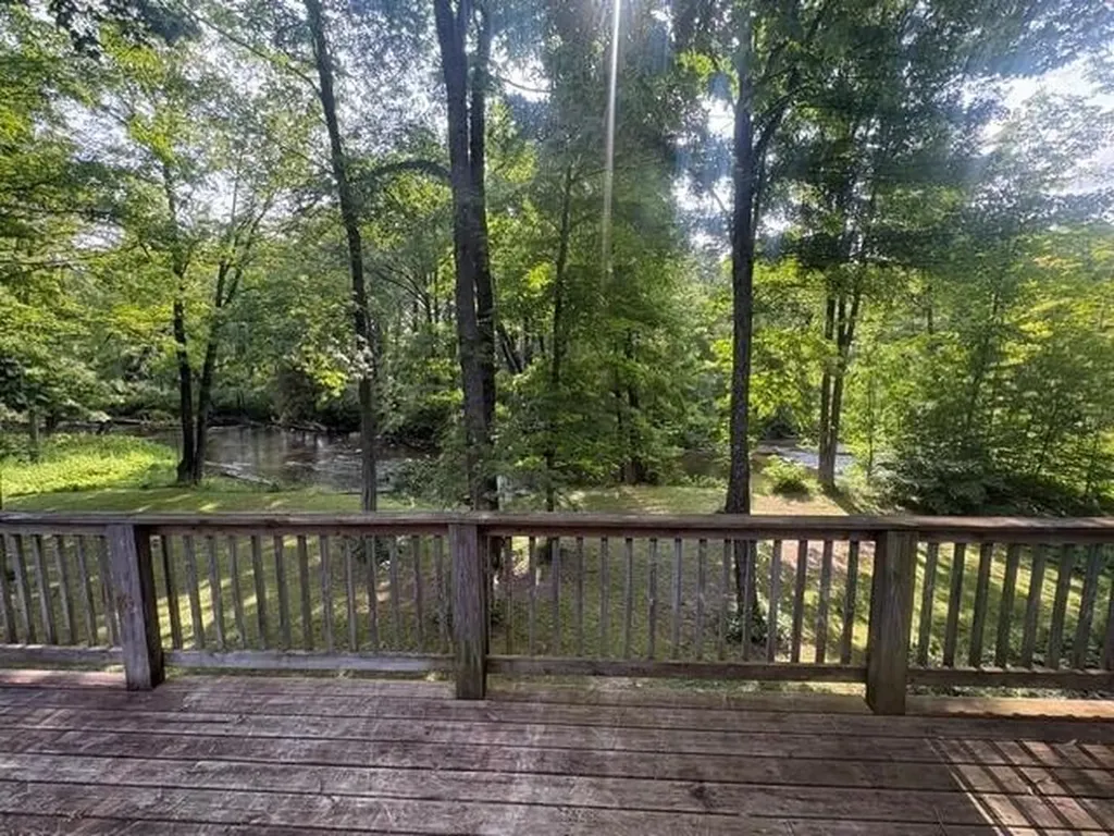 14150 Birch Lane Middle Branch Township MI 49665