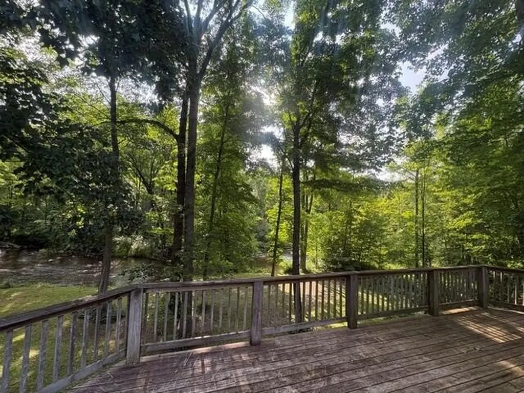 14150 Birch Lane Middle Branch Township MI 49665