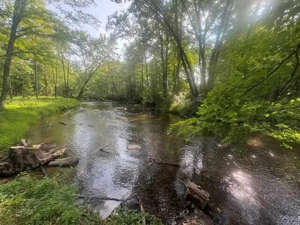 14150 Birch Lane Middle Branch Township MI 49665