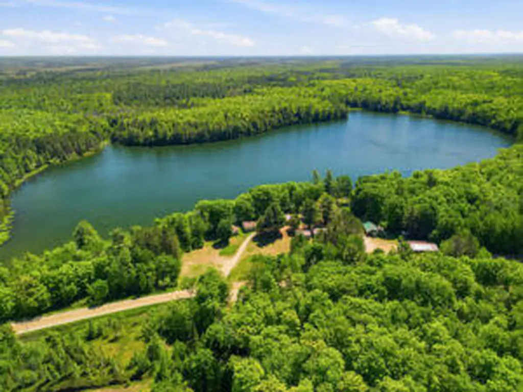 16878 County Road 505 Mcmillan Township MI 49868