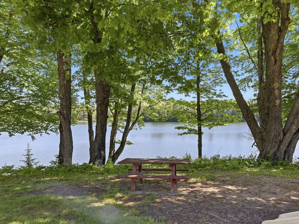16878 County Road 505 Mcmillan Township MI 49868