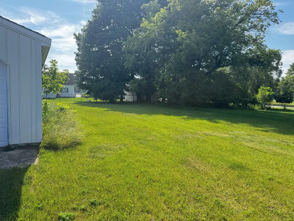 111 S Hemlock Street Evart City MI 49631