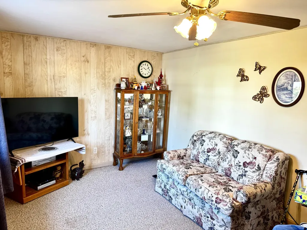 111 S Hemlock Street Evart City MI 49631