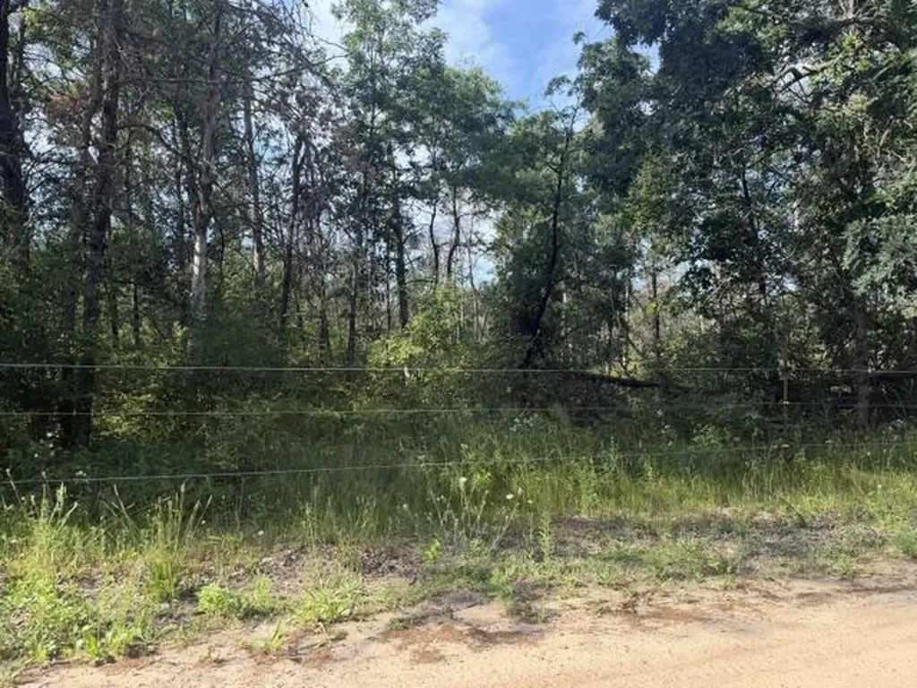 2045 S Hill Road Webber Township MI 49304
