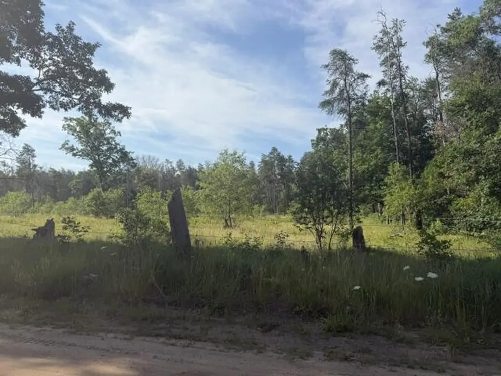 2045 S Hill Road Webber Township MI 49304