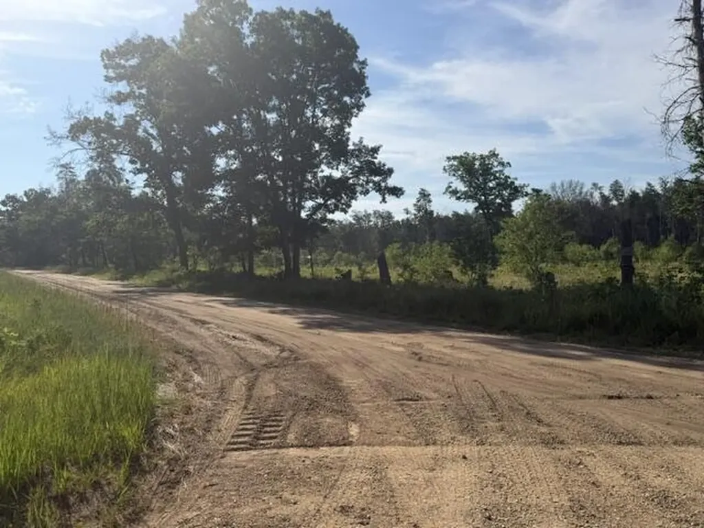 2045 S Hill Road Webber Township MI 49304