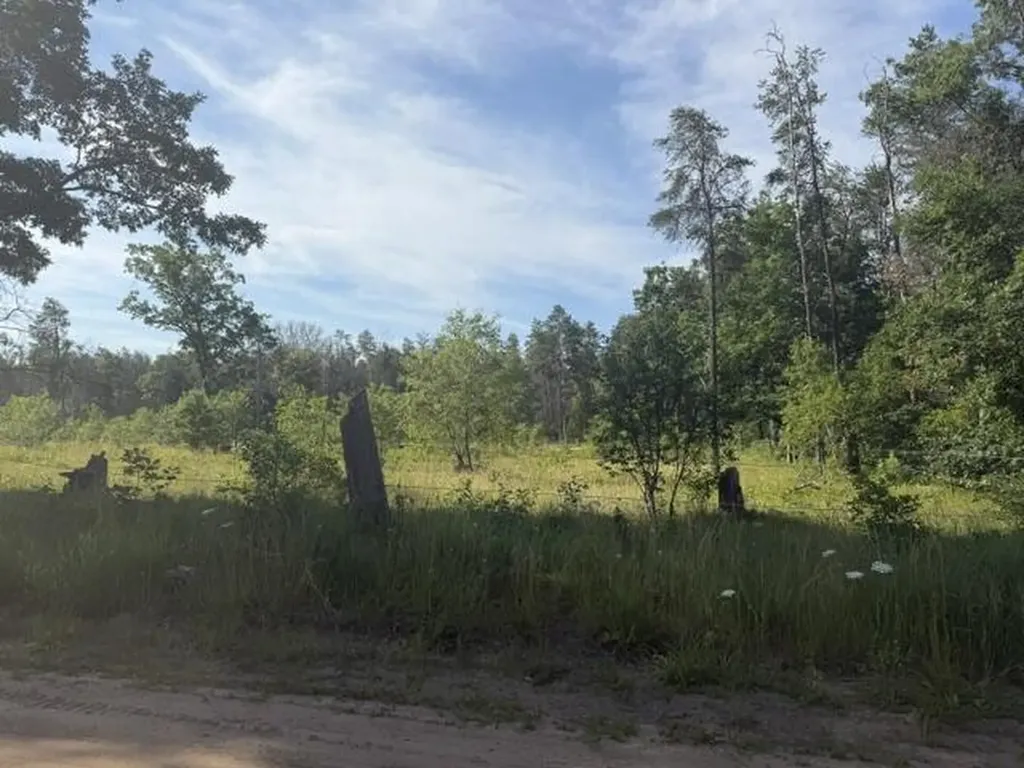 2045 S Hill Road Webber Township MI 49304