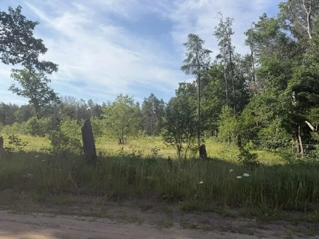 2045 S Hill Road Webber Township MI 49304