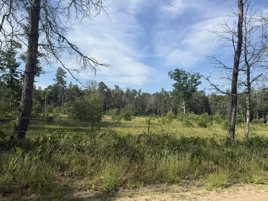 2045 S Hill Road Webber Township MI 49304