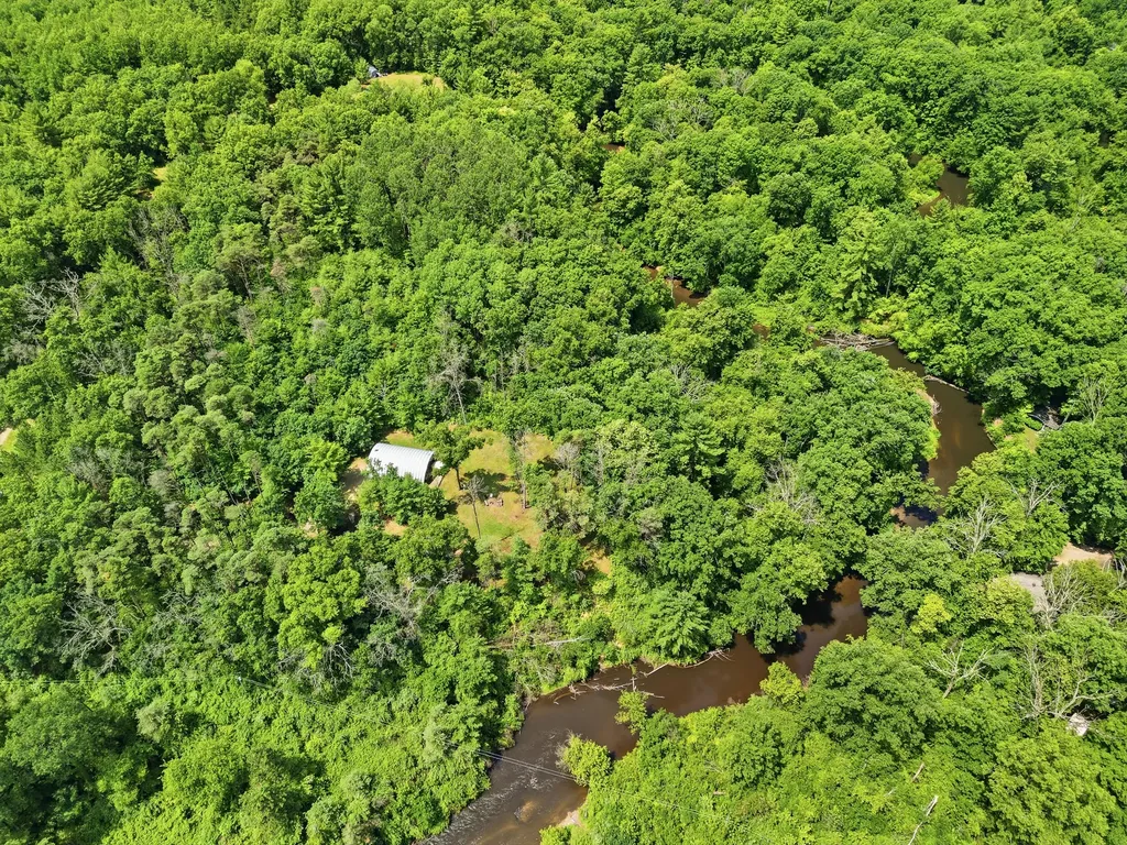 9585 E Buhler Drive Croton Township MI 49329