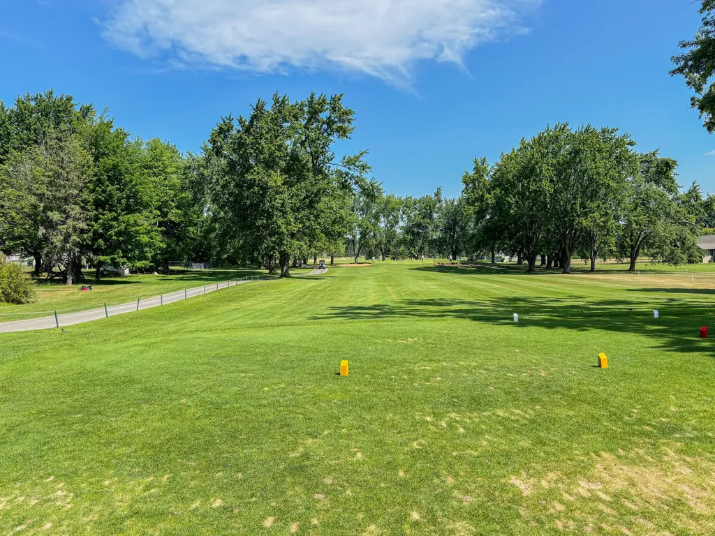 1032 Birdie Drive Broomfield Township MI 48893