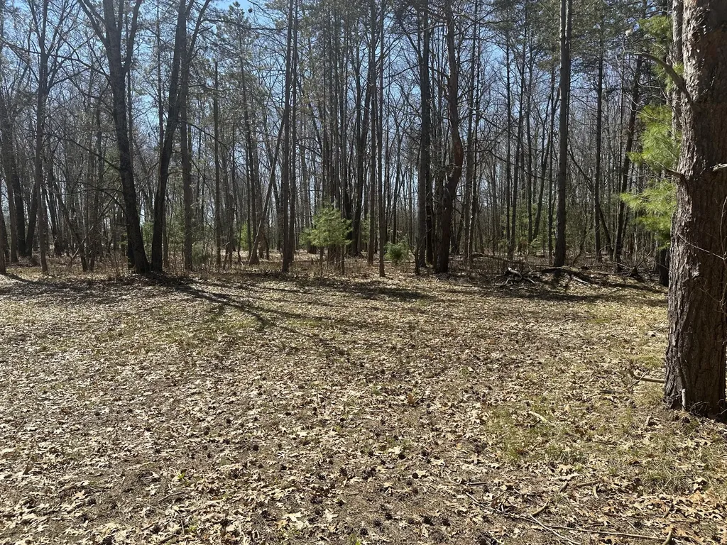 604 Beaver Road Lilley Township MI 49309