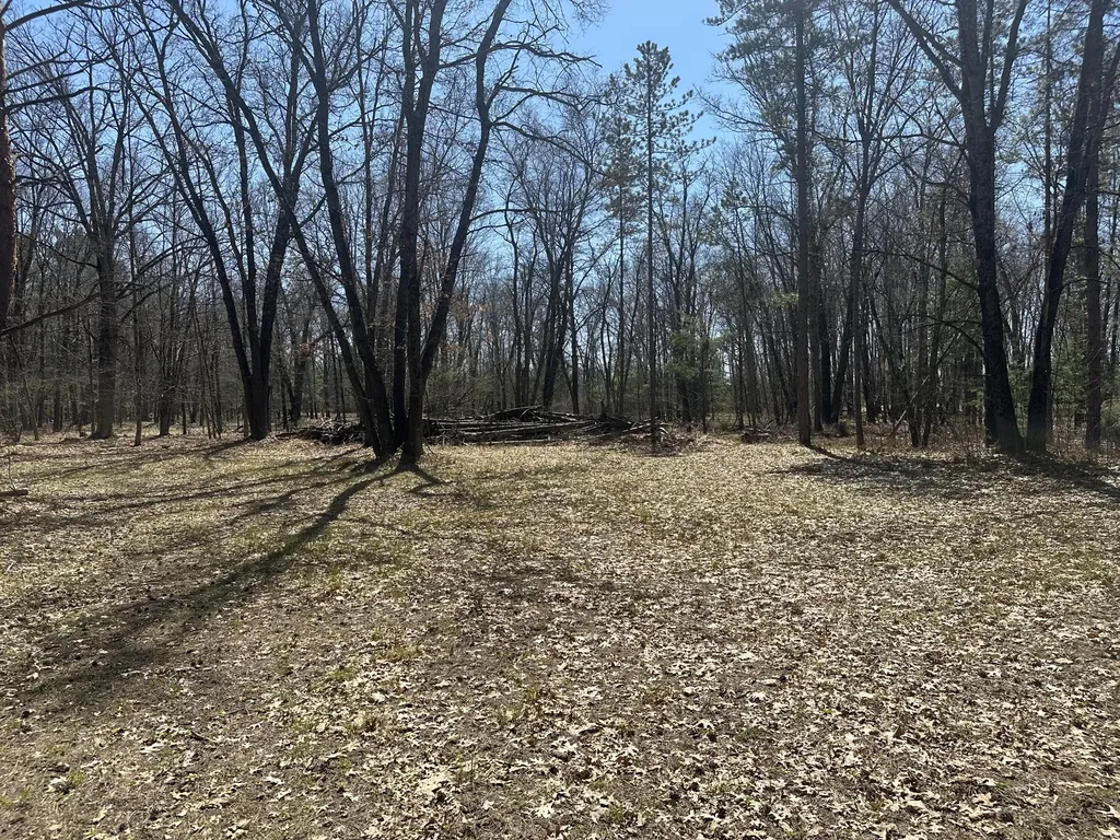 604 Beaver Road Lilley Township MI 49309