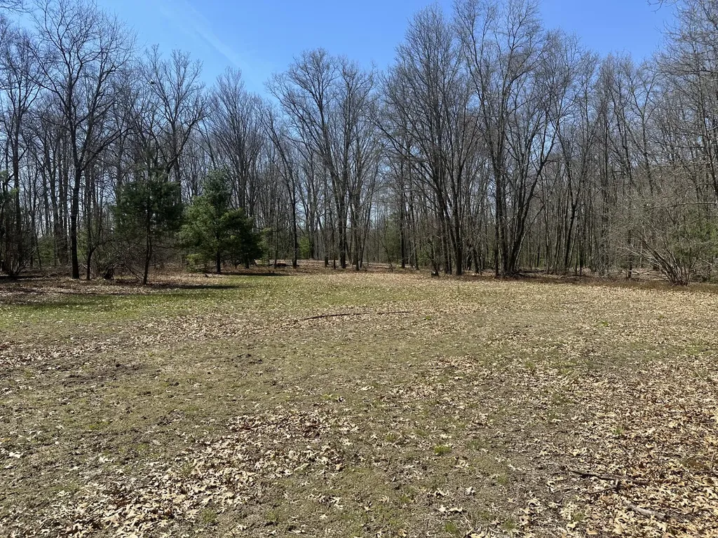 604 Beaver Road Lilley Township MI 49309