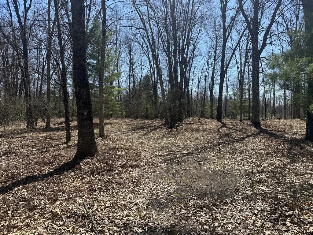 604 Beaver Road Lilley Township MI 49309