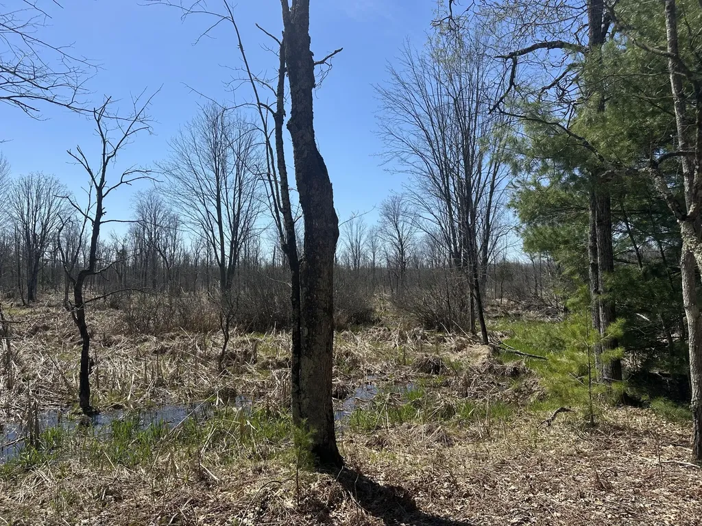 604 Beaver Road Lilley Township MI 49309