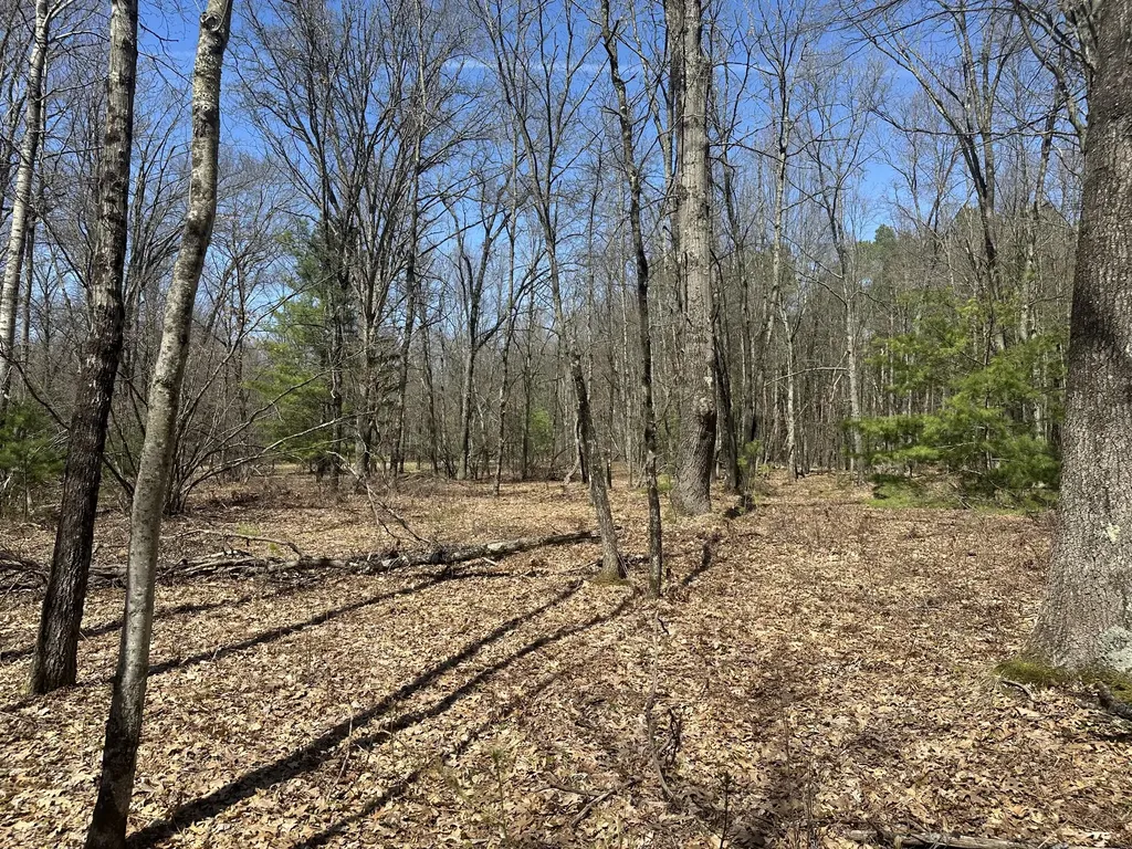 604 Beaver Road Lilley Township MI 49309