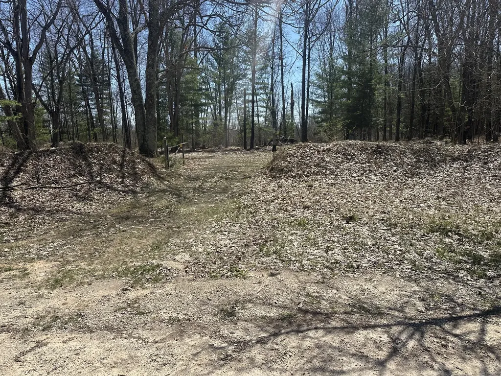 604 Beaver Road Lilley Township MI 49309