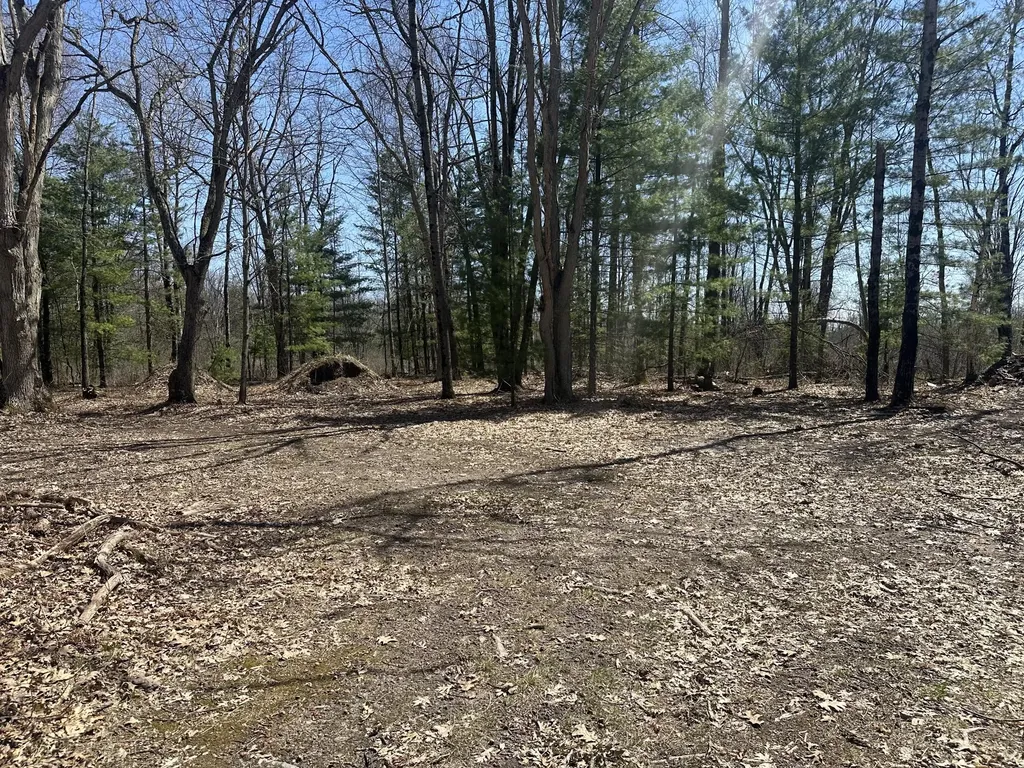 604 Beaver Road Lilley Township MI 49309