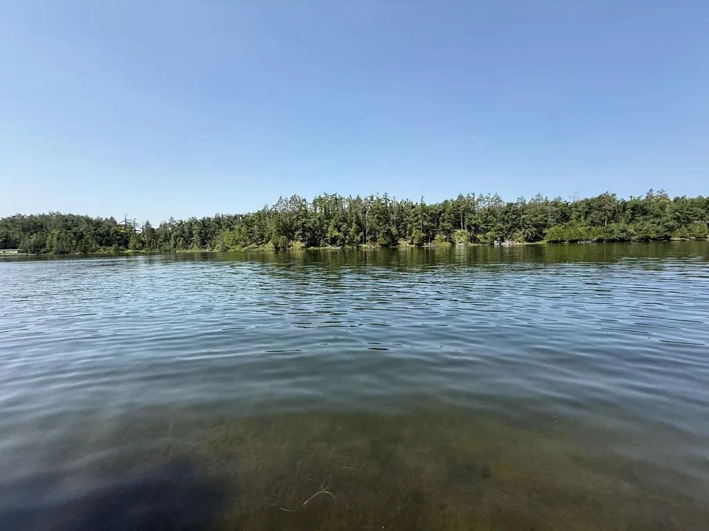 18910 Ellis Lane Hillman Township MI 49746