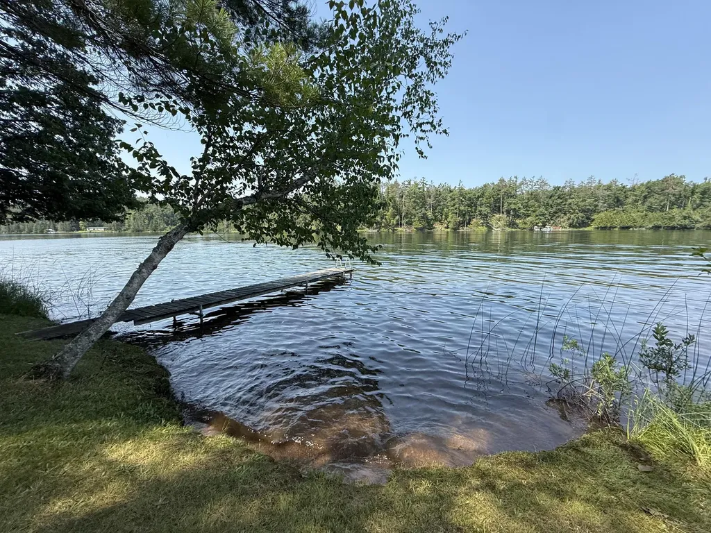 18910 Ellis Lane Hillman Township MI 49746