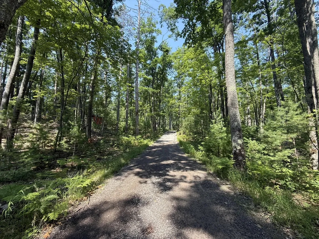 18910 Ellis Lane Hillman Township MI 49746